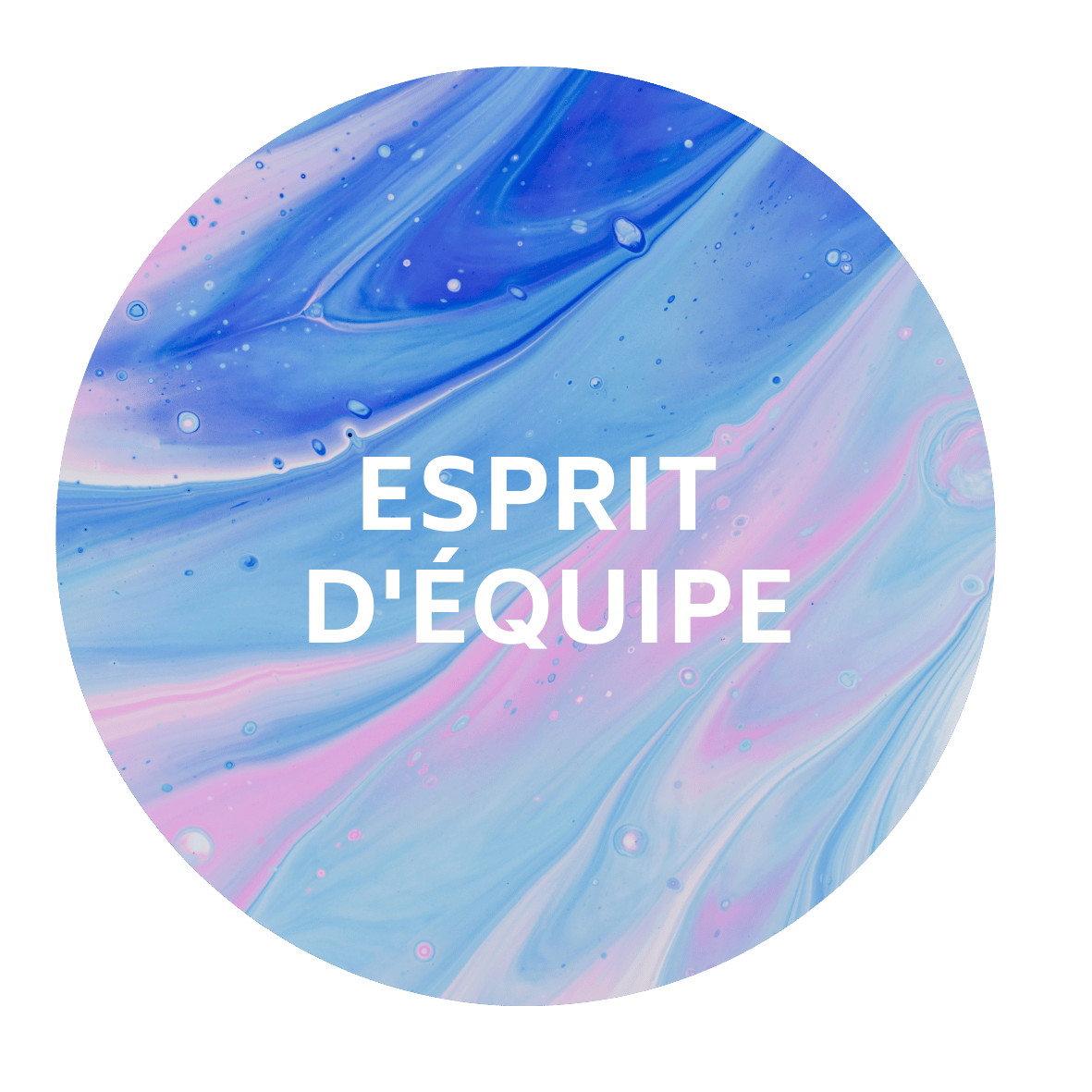 //www.reproland.fr/wp-content/uploads/2022/06/RESPECTEUSE-1.png